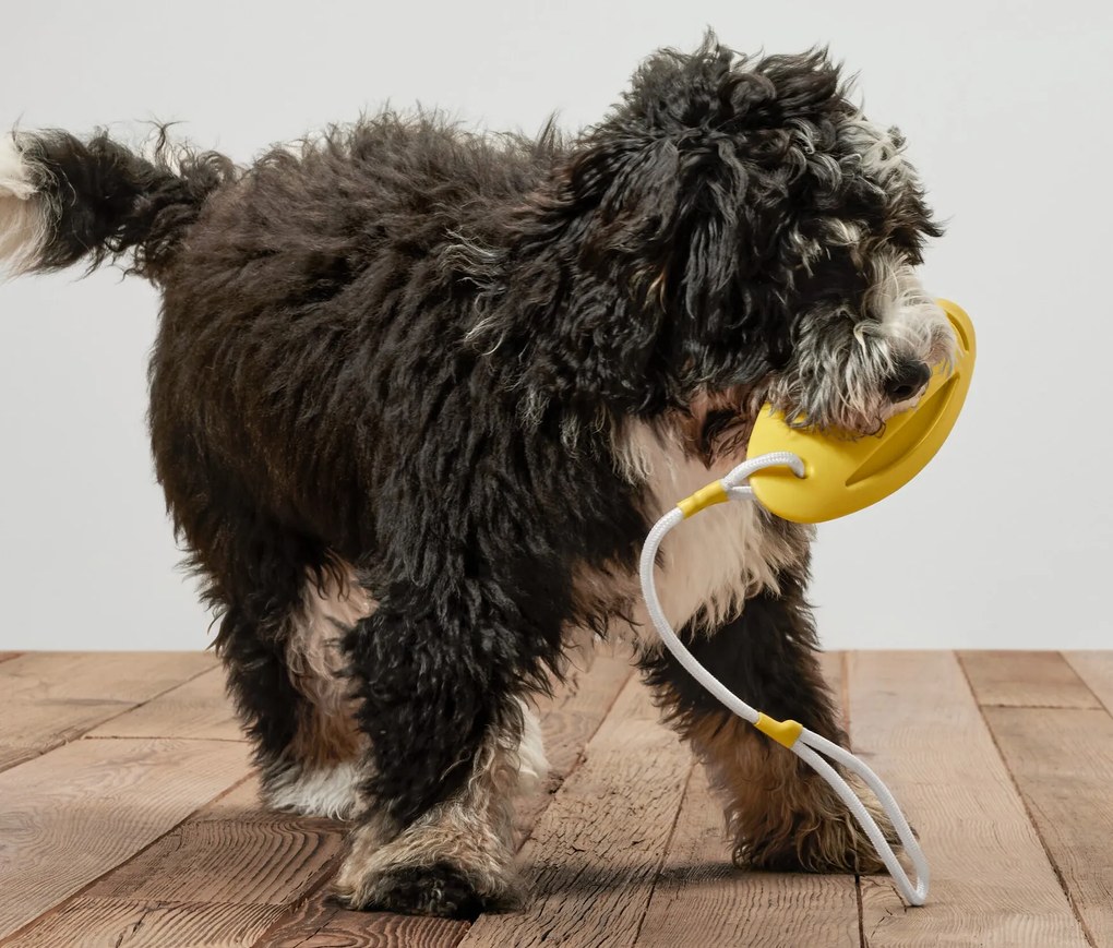 Hračka na hádzanie do vody pre psov