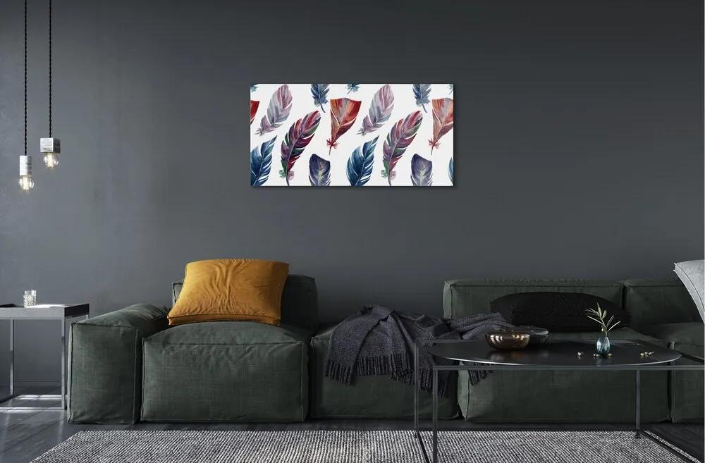 Sklenený obraz farebné perie 120x60 cm