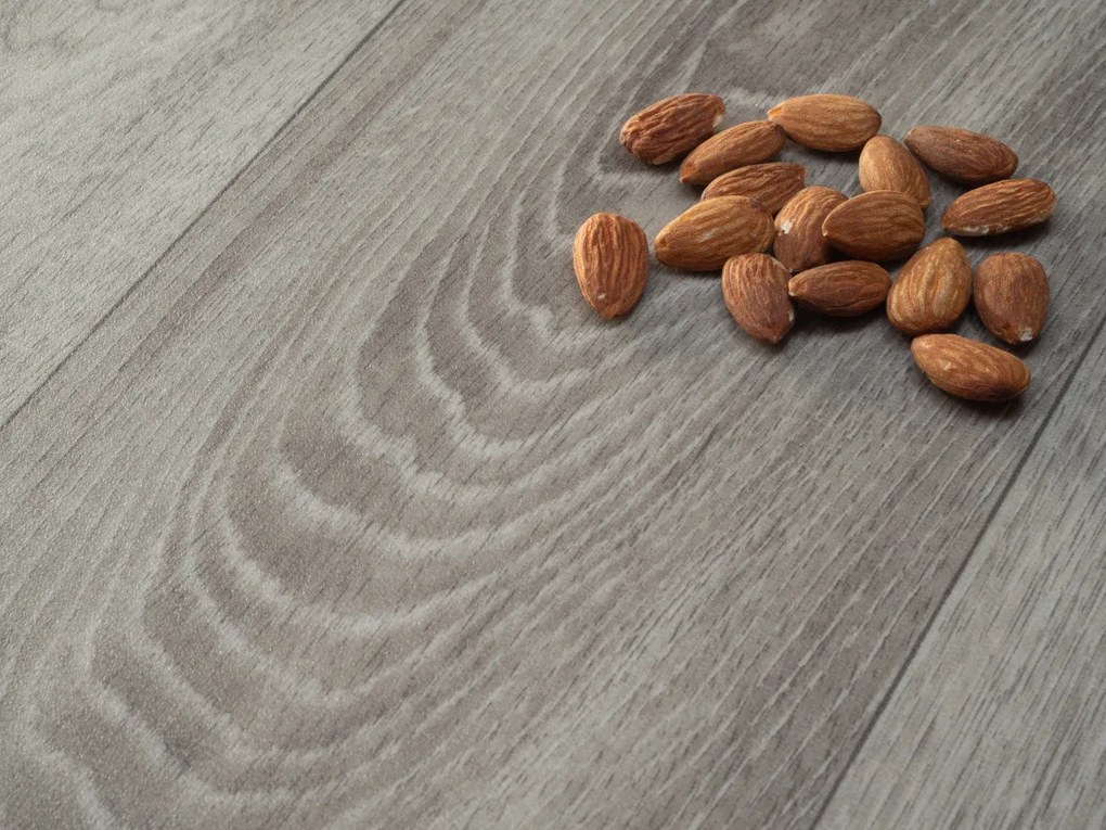 Beaulieu International Group, PVC podlaha - lino Master X 2962, na mieru, šíře 2m,4m, šedá, pvc, chodba / predsieň