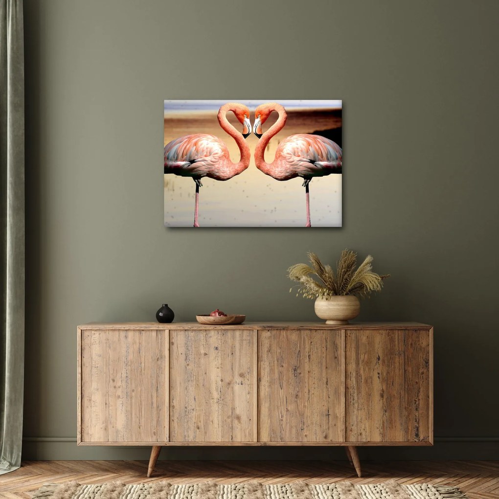 Obraz - dva plameniaky (70x50 cm)