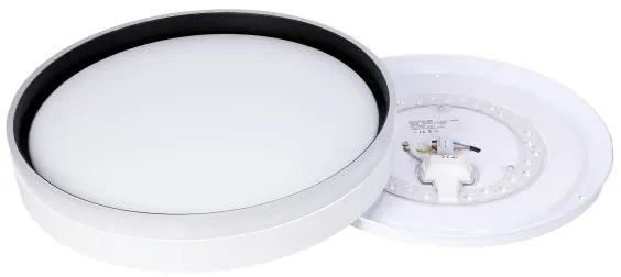 LED Stropné svietidlo FLORIDA LED/24W/230V biela