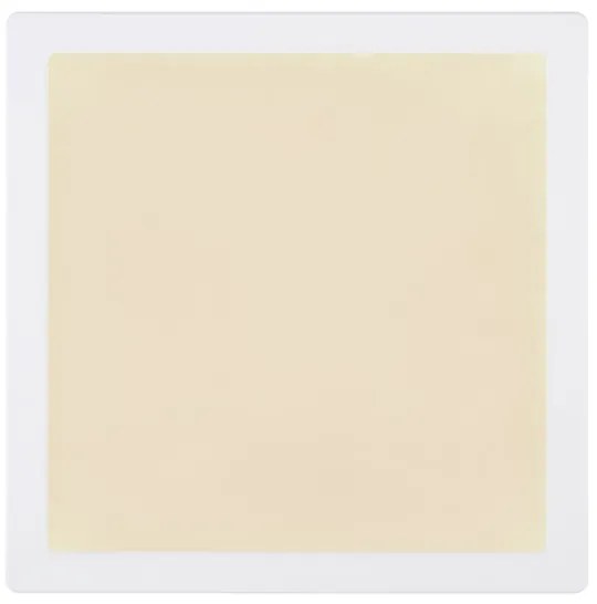 Globo 12380-24W - LED Stropné svietidlo LASSE LED/24W/230V 3000/4000/6500K biela