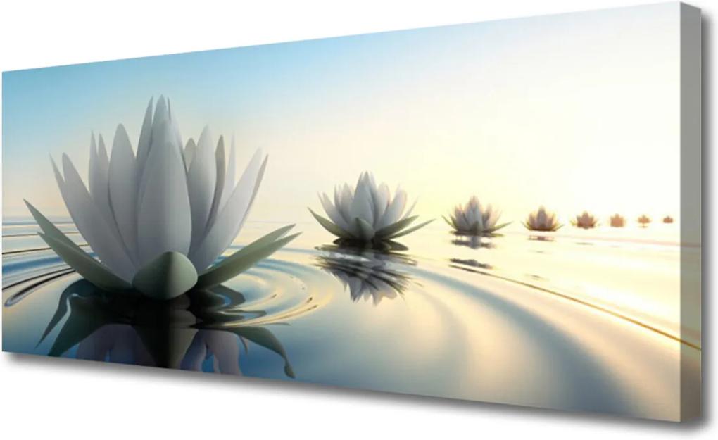 Obraz Canvas Vodní lilie květiny rybník