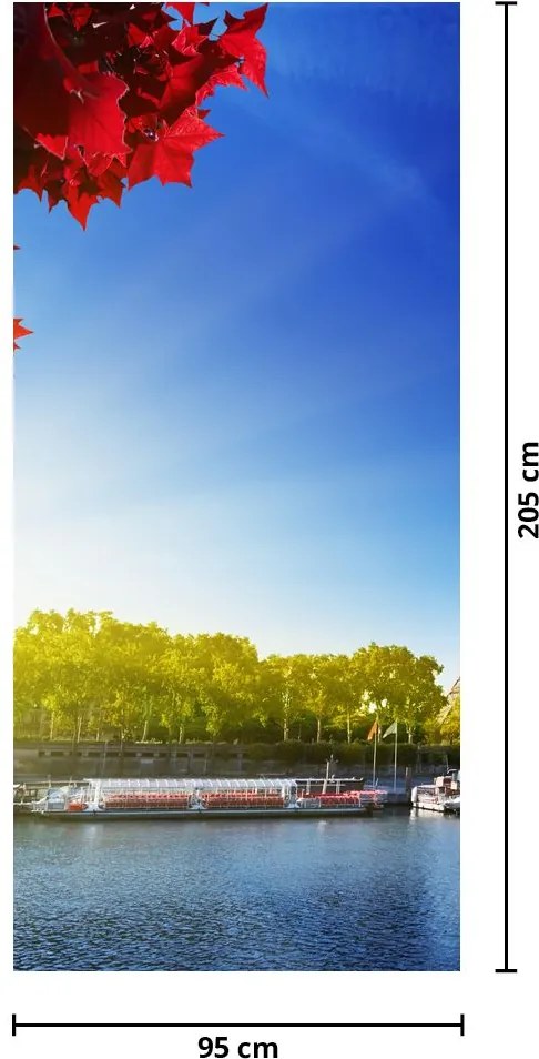 Fototapeta na dvere - Jeseň v Paríži (95x205cm)