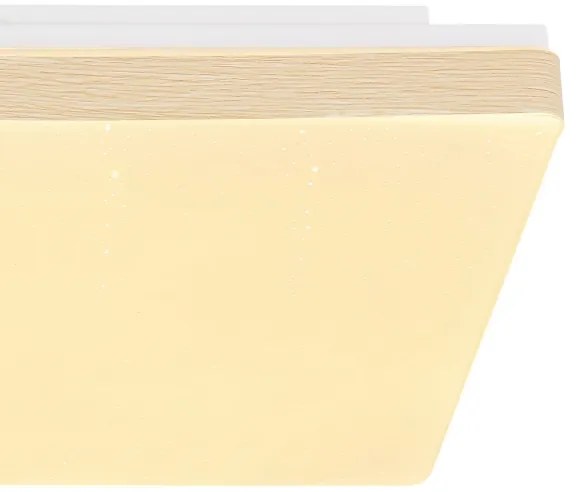 Globo 48296W - LED Stropné svietidlo RAINA LED/12W/230V