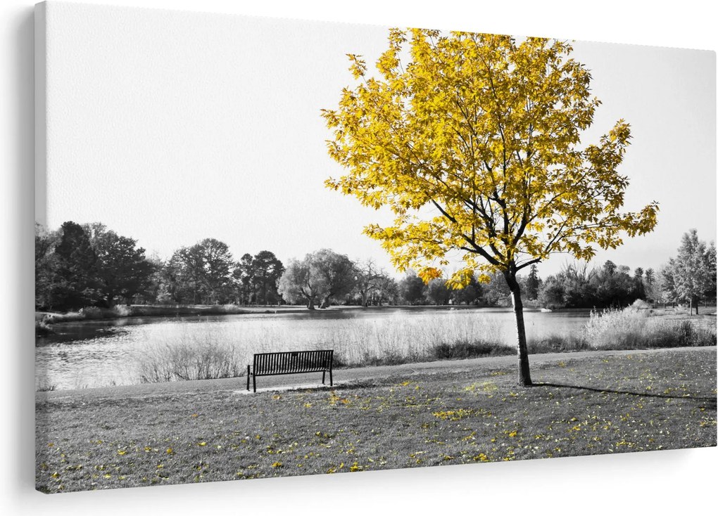 Obraz - Odpočinok v parku (90x60 cm)
