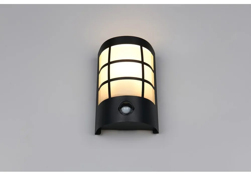 Nástenné vonkajšie svietidlo (výška 20 cm) Sintra – Trio