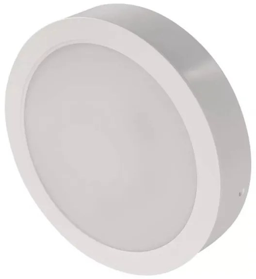 LED Stropné svietidlo LED/24W/230V pr. 22 cm biela