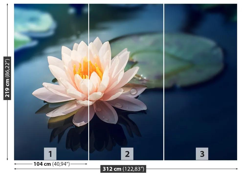 Fototapeta Vliesová Lotosový kvet rybník 208x146 cm
