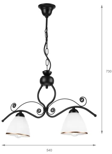 Luster na reťazi RETRO 2xE27/60W/230V matná čierna