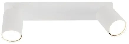 Podhľadové bodové svietidlo NEX 2xGU10/10W/230V biela