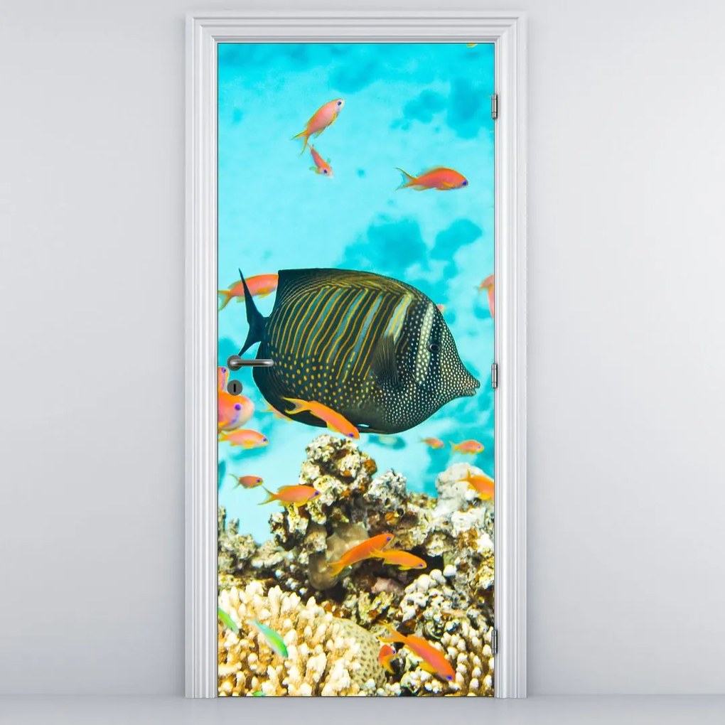 Fototapeta na dvere - Podmorský svet (95x205cm)