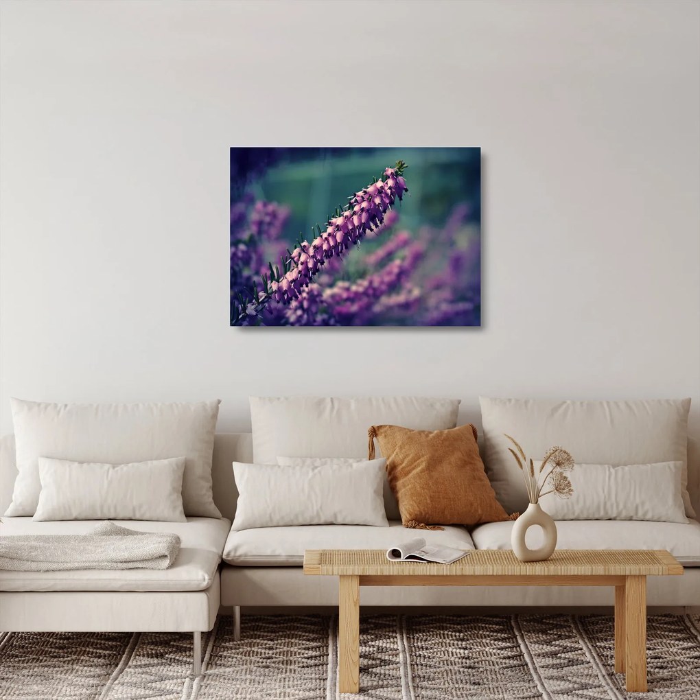 Sklenený obraz levandule (70x50 cm)