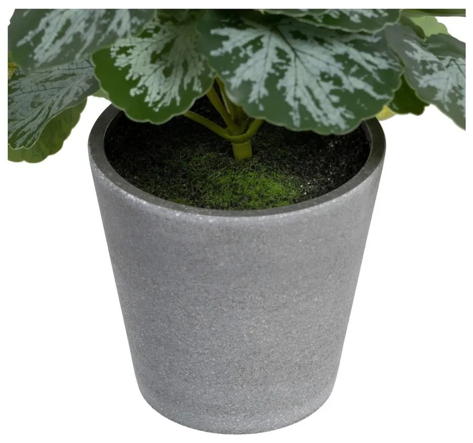 Umelá rastlina (výška 21,5 cm) Saxifraga – Ixia