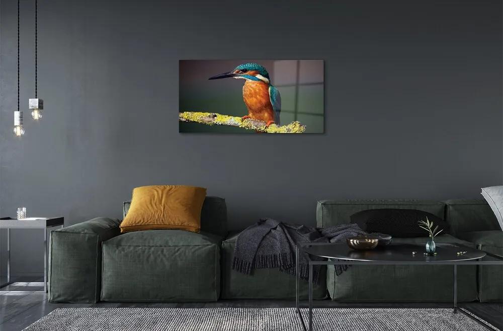 Sklenený obraz Farebný vták na vetve 120x60 cm