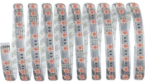 Paulmann 70673 - LED RGB/40W Stmievateľný pásik MAXLED 3m 230V + diaľkové ovládanie