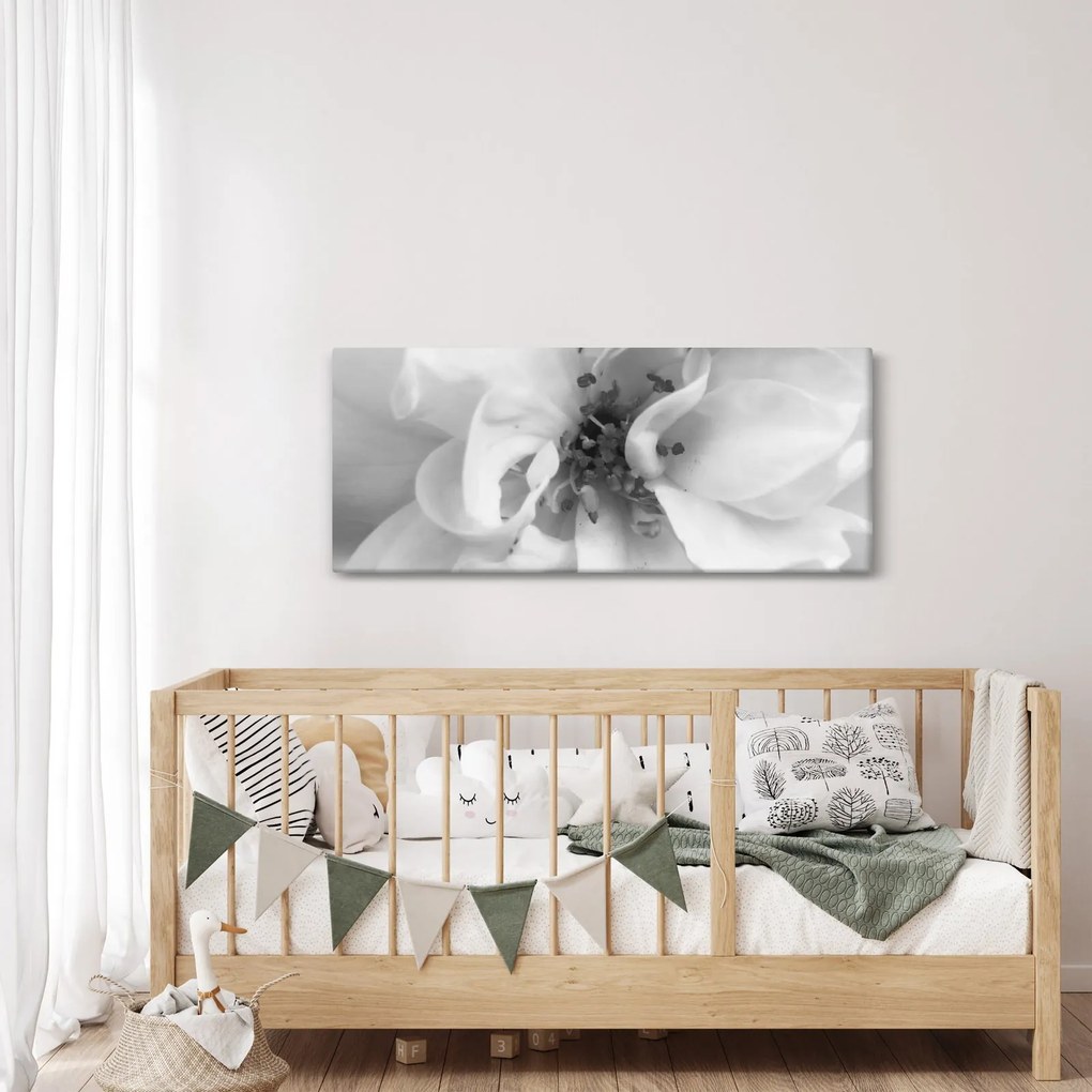 Obraz - Kvet, čiernobiela (120x50 cm)