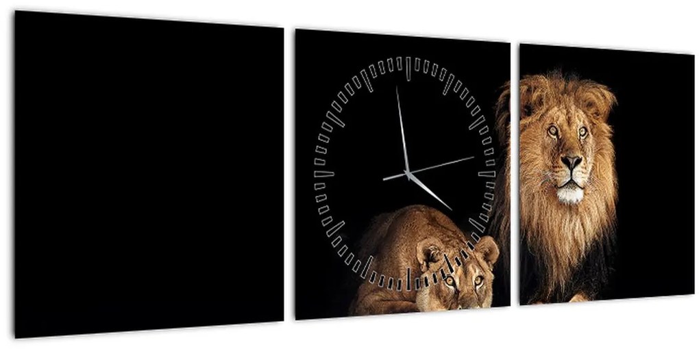 Obraz - Lev a levice (s hodinami) (90x30 cm)