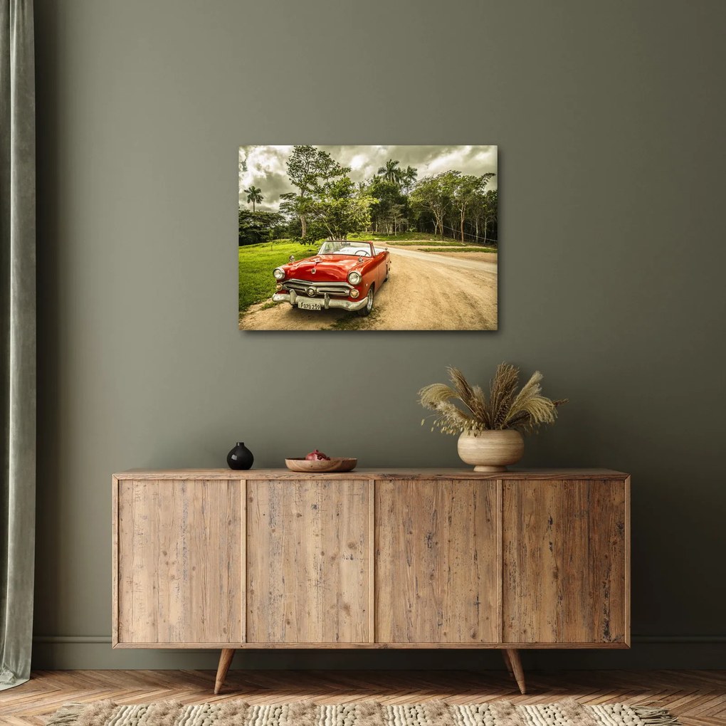 Obraz - auto veterán v prírode (70x50 cm)