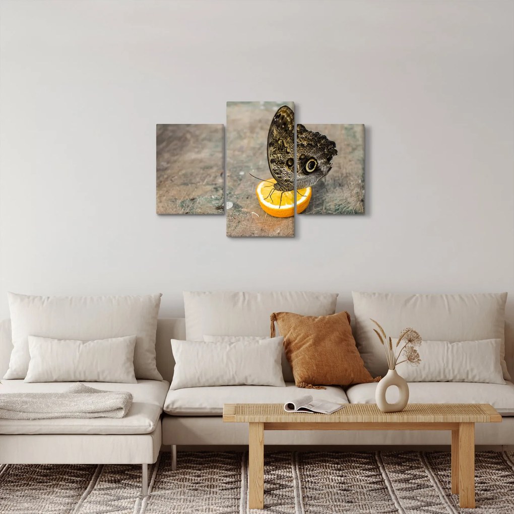 Obraz motýľa (90x60 cm)