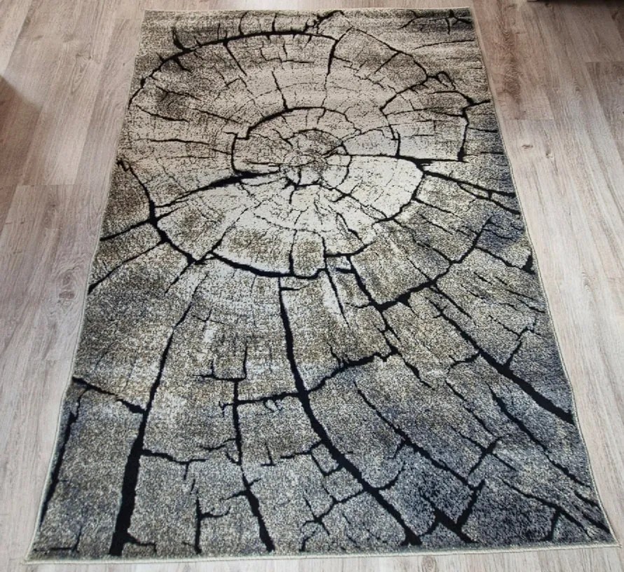Hnedý koberec Loft so vzorom dreva – obdĺžnikový, prírodný štýl Rozmer: 180x260 cm