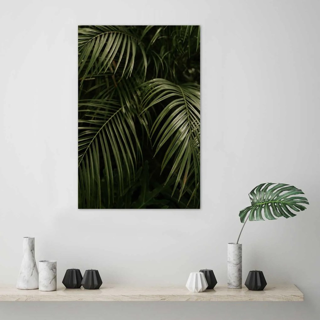 Gario Plagát Exotické palmové listy Farba rámu: Bez rámu, Rozmery: 40 x 60 cm