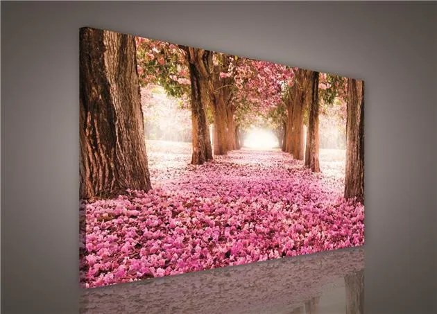 Obraz na plátne, rozmer 75 x 100 cm, alej stromov, IMPOL TRADE PP428O1