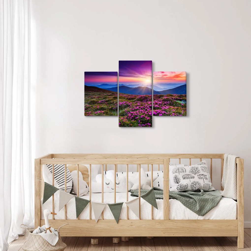 Obraz - Horská rozkvitnutá krajina (90x60 cm)