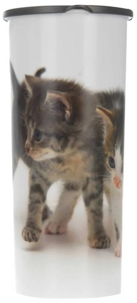 Úložný box Kitten, 25,5x12x25,5 cm, biela