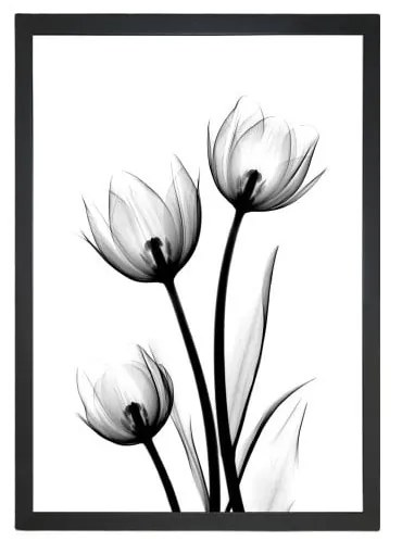 Obraz Tablo Center Scented Flowery, 24 × 29 cm