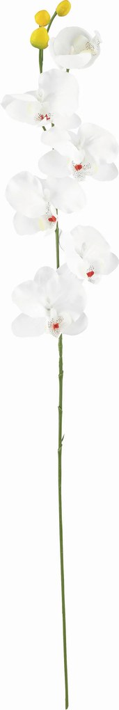 XXXLutz UMELÝ KVET orchidea 72 cm - Kvety & kvetináče - 0041770763