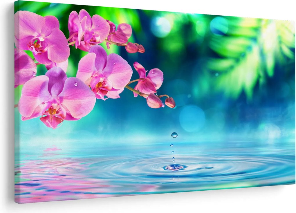 Obraz - Orchidea (90x60 cm)