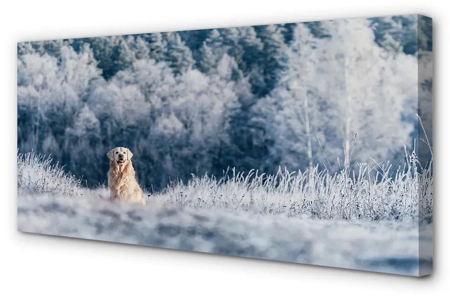 Obraz na plátne Zime salašnícky pes 120x60 cm
