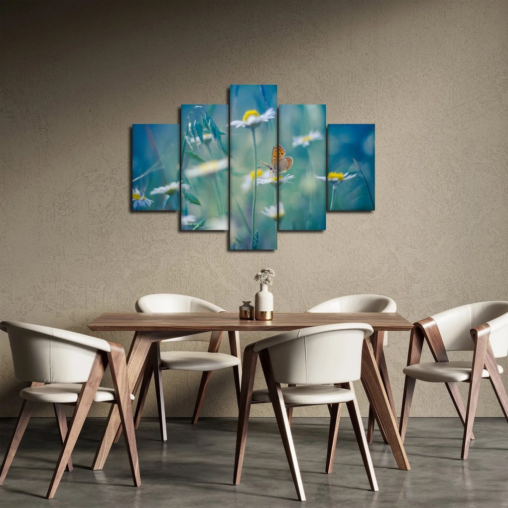 Obraz - Motýľ na sedmokráske (150x105 cm)