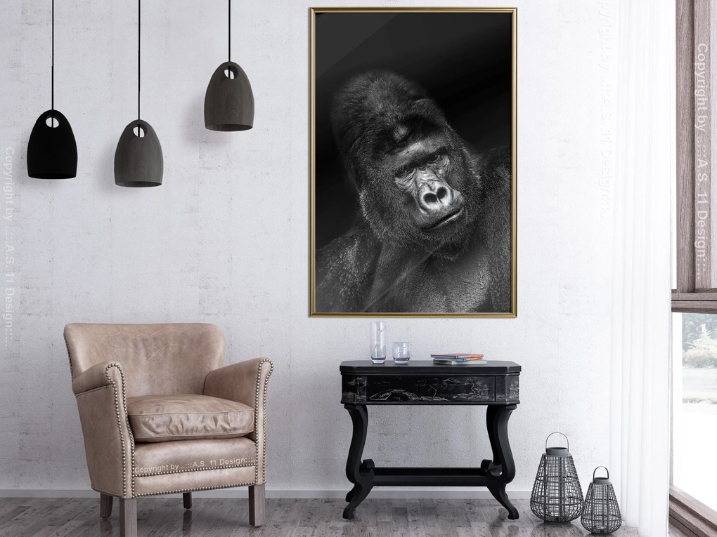 Artgeist Plagát - Gorilla [Poster] Veľkosť: 40x60, Verzia: Zlatý rám s passe-partout