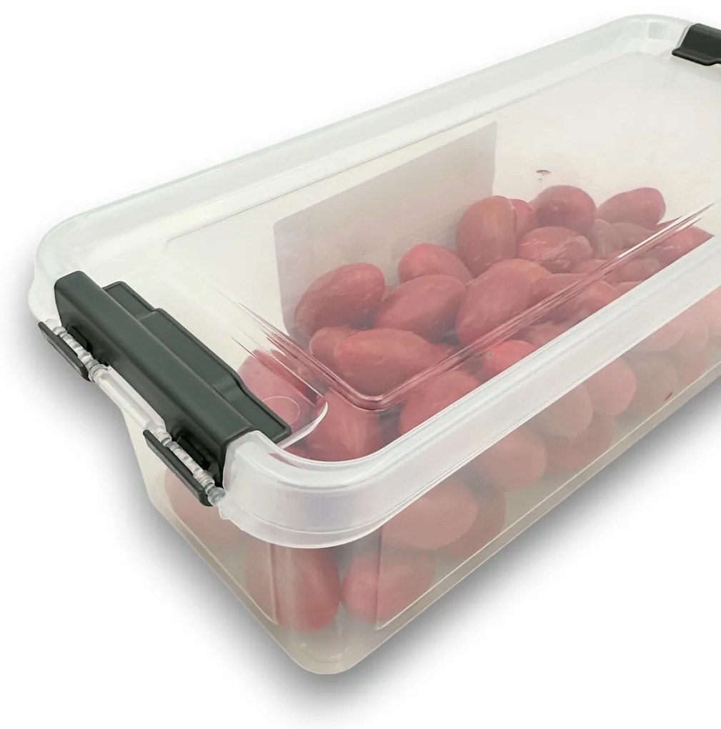Úložný box, organizér, do chladničky (1,8l) FRESH - 28 x 12 x 9 cm