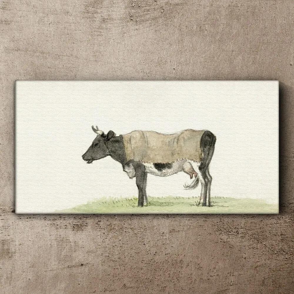 Obraz na plátne krava