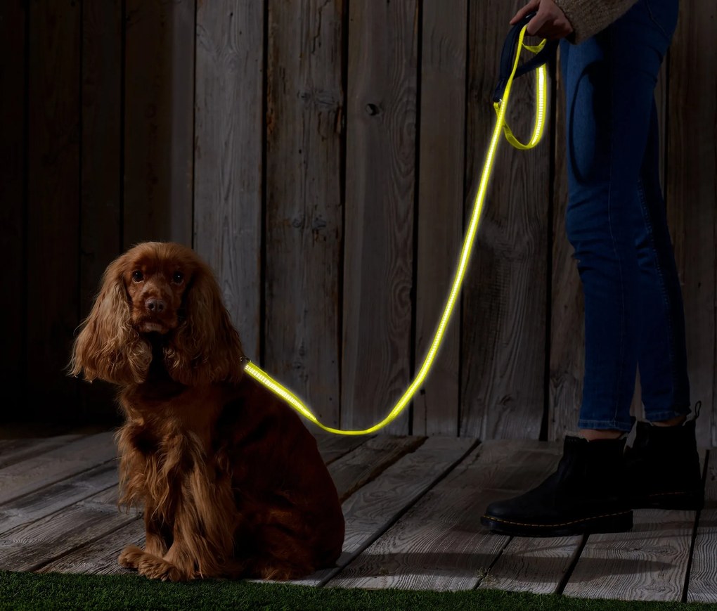 Vôdzka pre psy s reflexnými prvkami