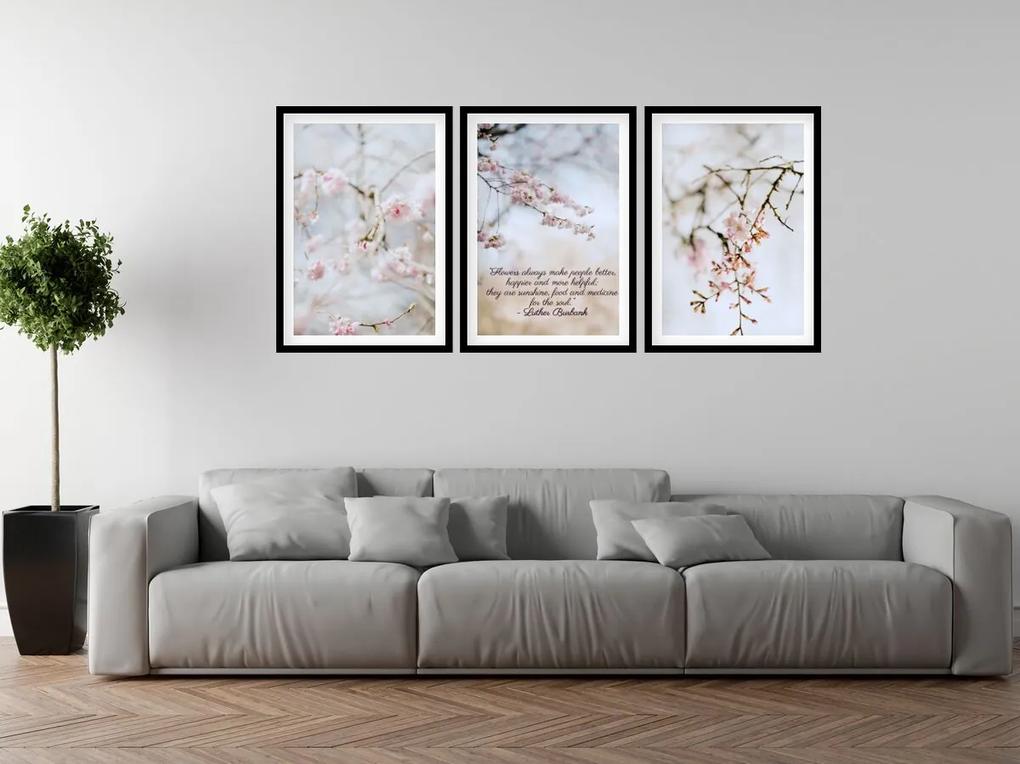 Gario Sada plagátov Kvitnúca višňa - 3 dielna Farba rámu: Zlatá, Veľkosť: 135 x 63 cm