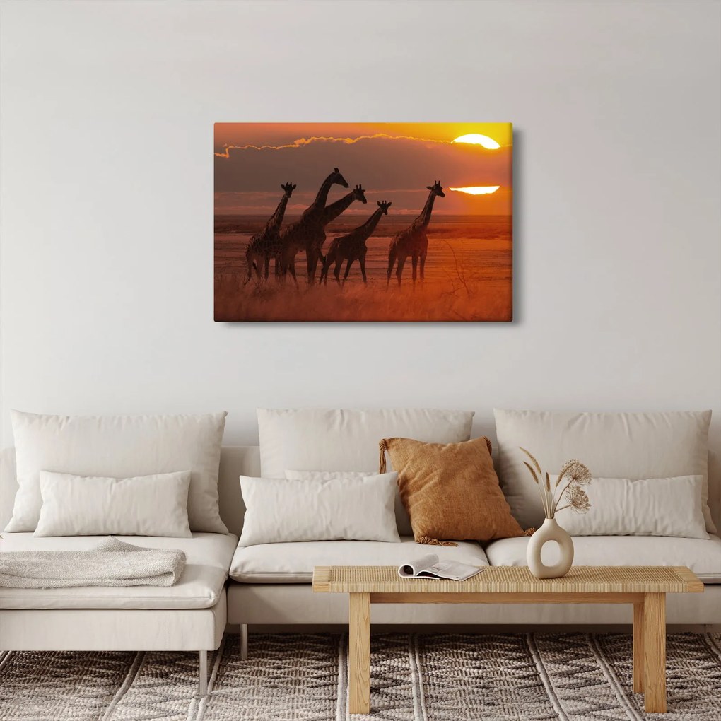 Obraz - Žirafy v africkej savane (90x60 cm)