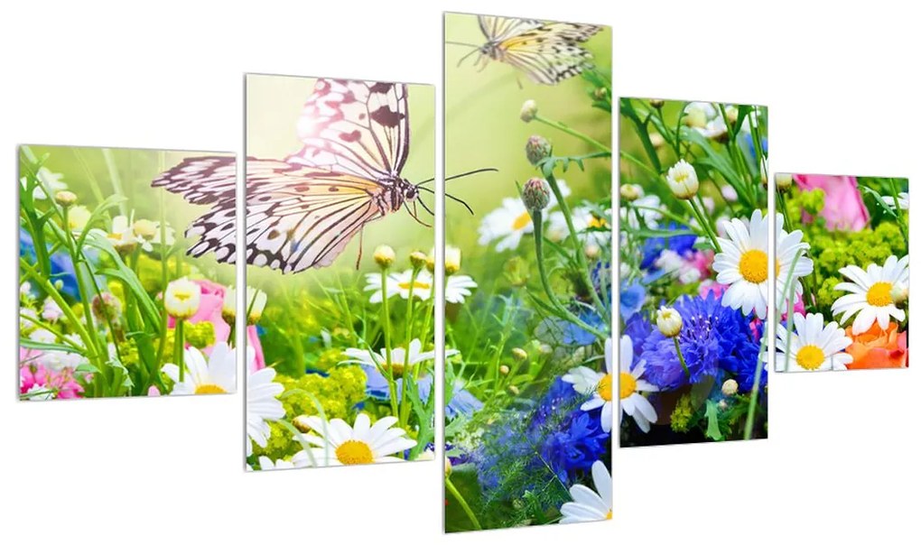 Obraz letných kvetov s motýľom (K012220K12570)
