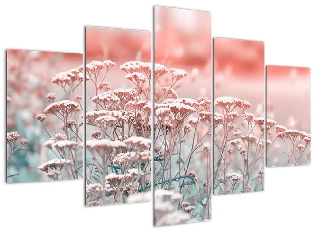 Obraz - Lúčne kvety (150x105 cm)