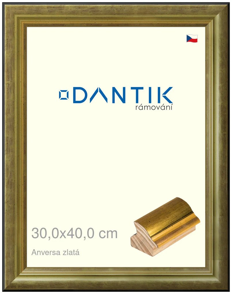 DANTIK rám na obraz 30x40 | ANIVERSA zlatá (Plexi Čiré)