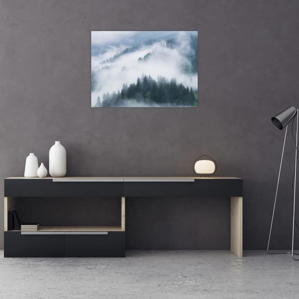 Sklenený obraz - Stromy v hmle (70x50 cm)