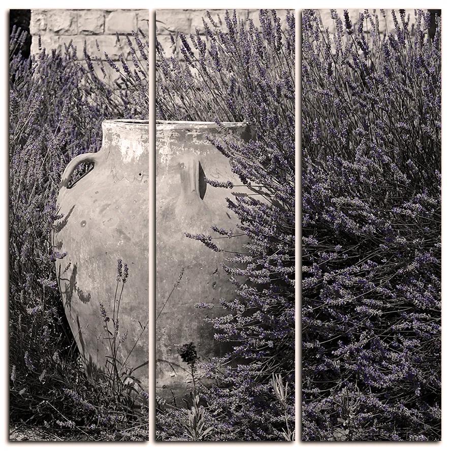 Obraz na plátne - Amfora medzi kríkmi levandule - štvorec 369FB (75x75 cm)