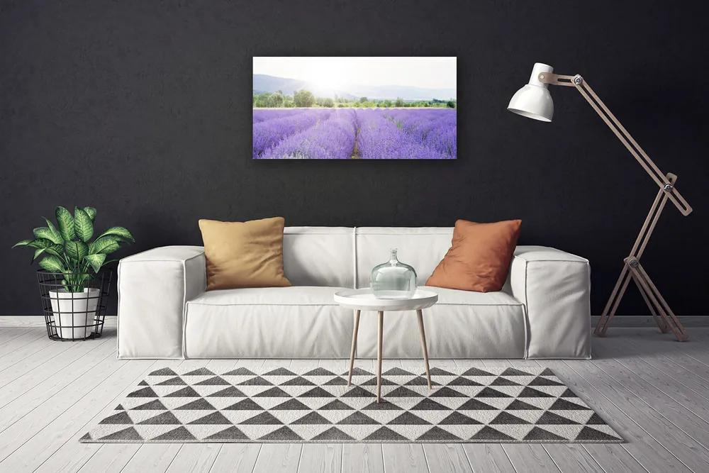 Obraz Canvas Pole levanduľa príroda lúka 120x60 cm