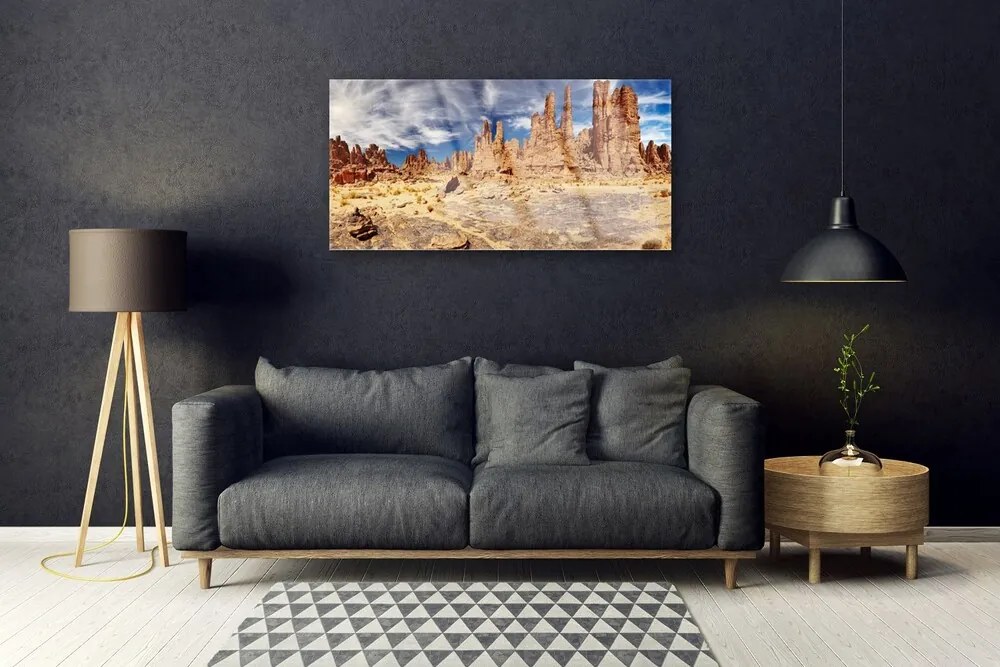 Obraz na akrylátovom skle Púšť krajina 100x50 cm
