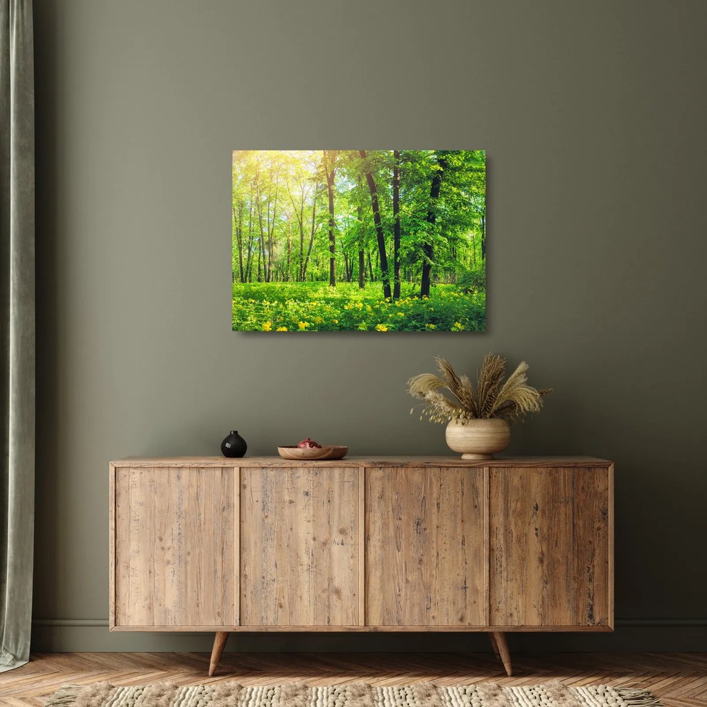 Sklenený obraz - Jarný listnatý les (70x50 cm)