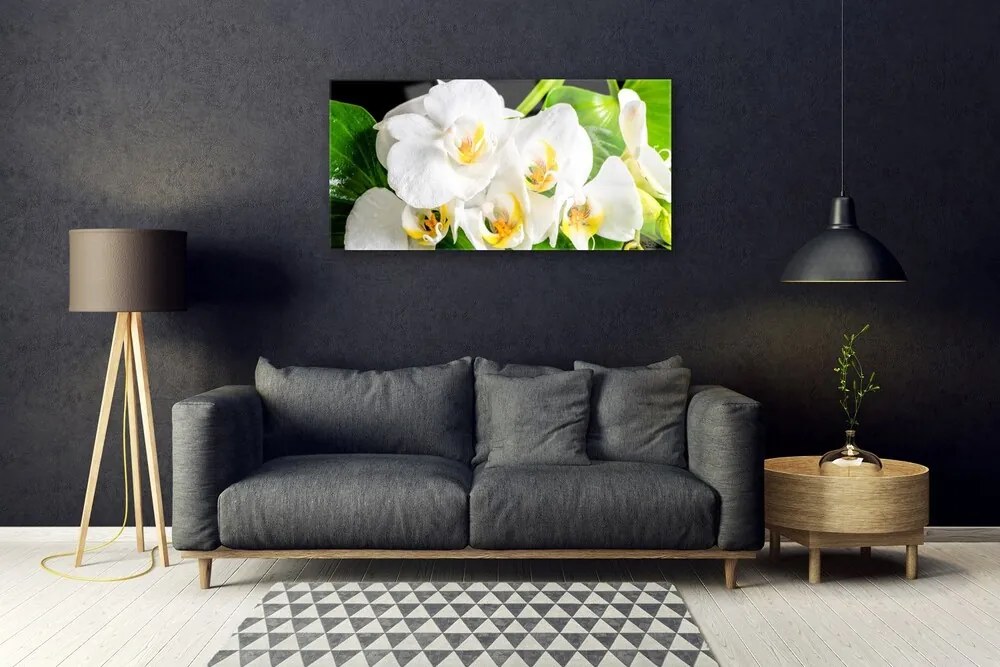 Skleneny obraz Orchidea kvety príroda 140x70 cm