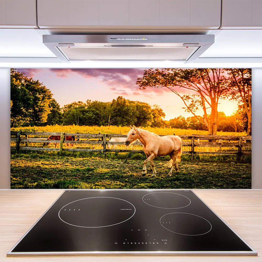 Nástenný panel  Kôň lúka zvieratá 120x60 cm